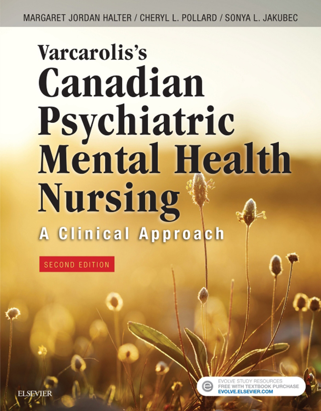 Varcarolis's Canadian Psychiatric Mental Health Nursing (Canadian Edition) 2nd Edition