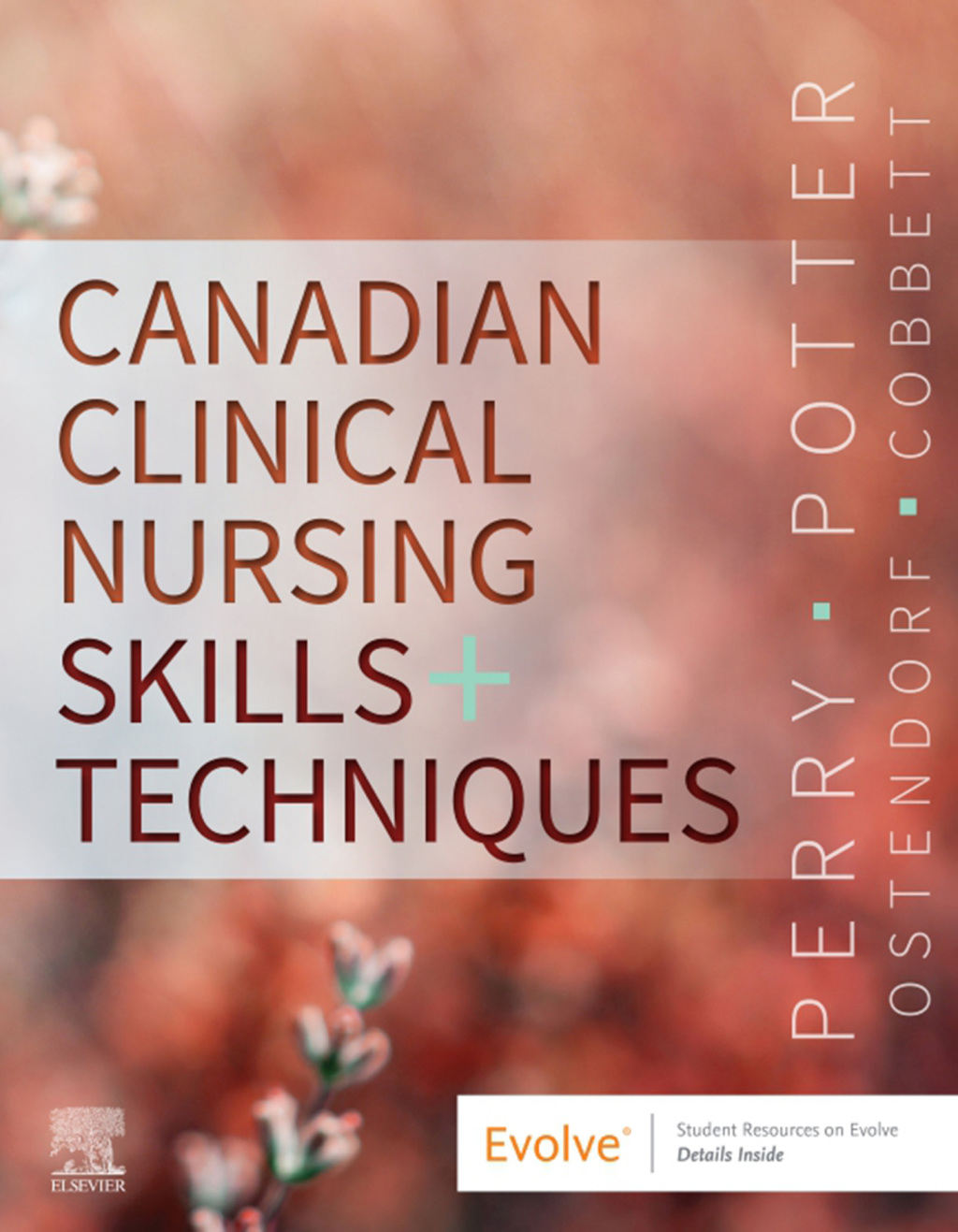 Canadian Clinical Nursing Skills and Techniques 1st Edition