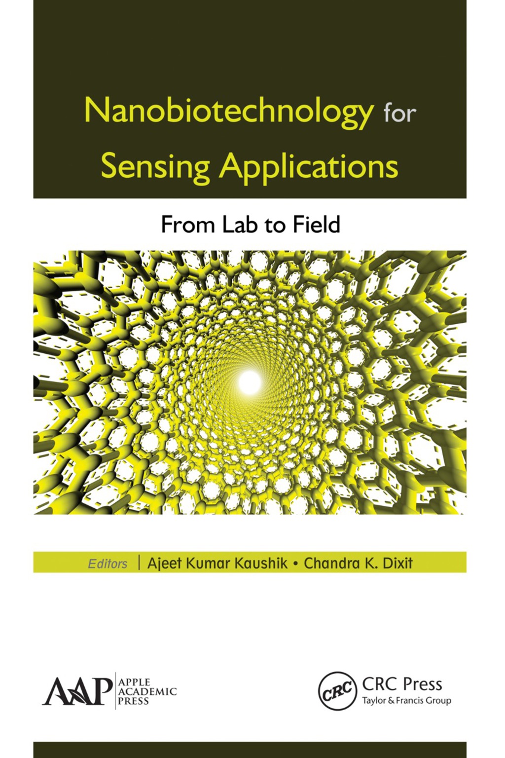 Nanobiotechnology for Sensing Applications From Lab to Field 1st Edition