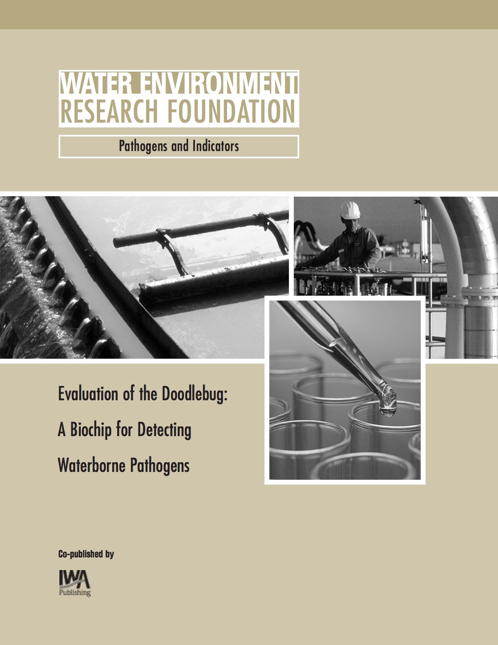 Evaluation of the Doodlebug 