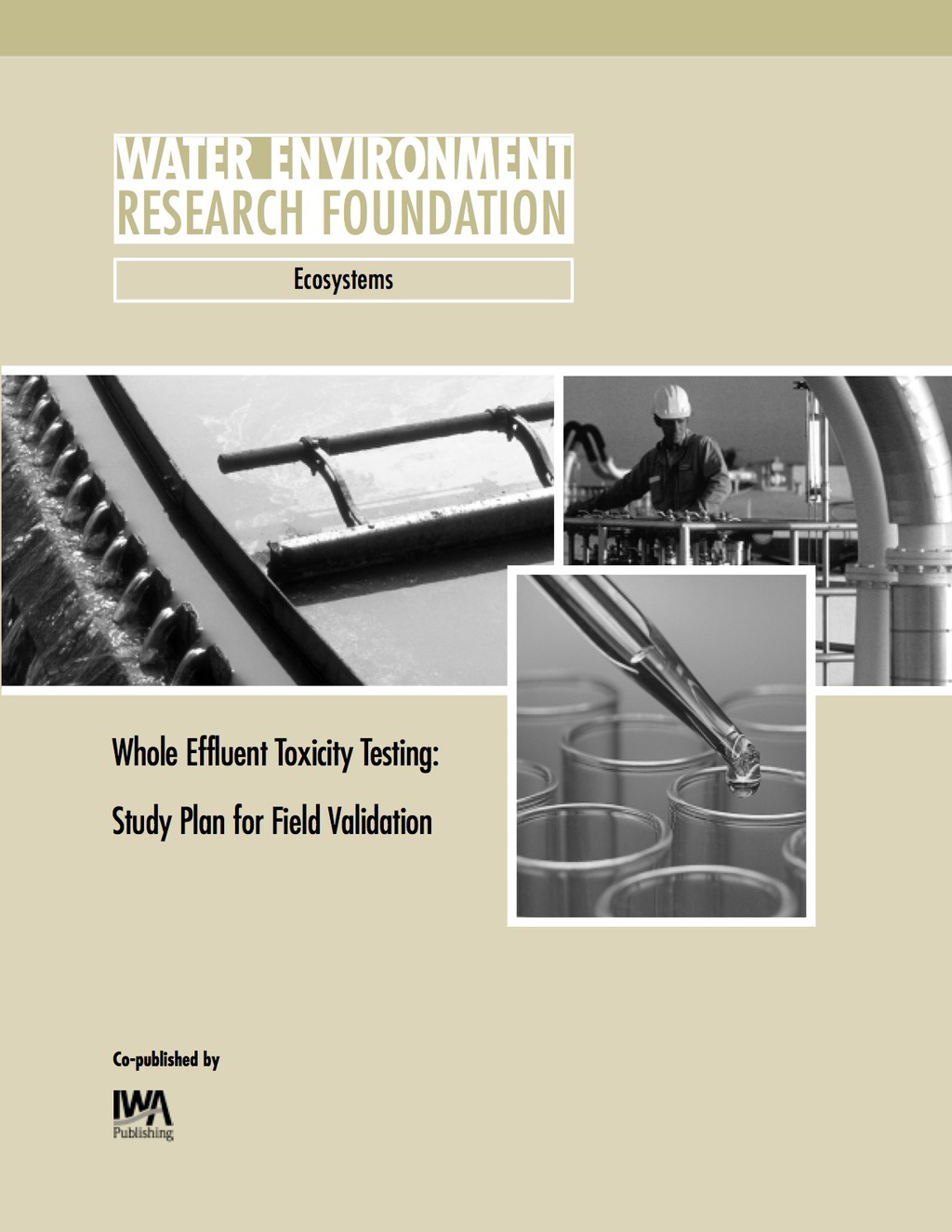 Whole Effluent Toxicity Testing 