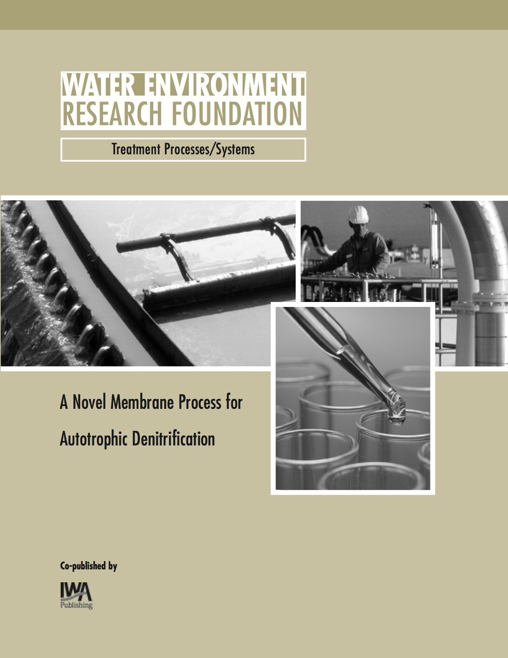 A Novel Membrane Process for Autotrophic Denitrification 