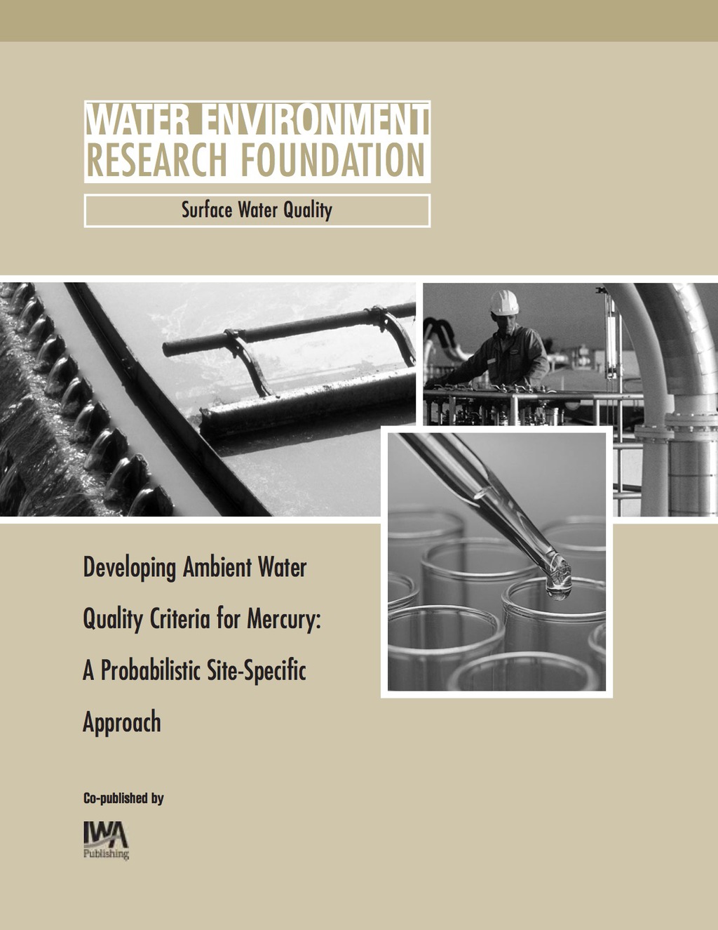 Developing Ambient Water Quality Criteria for Mercury 