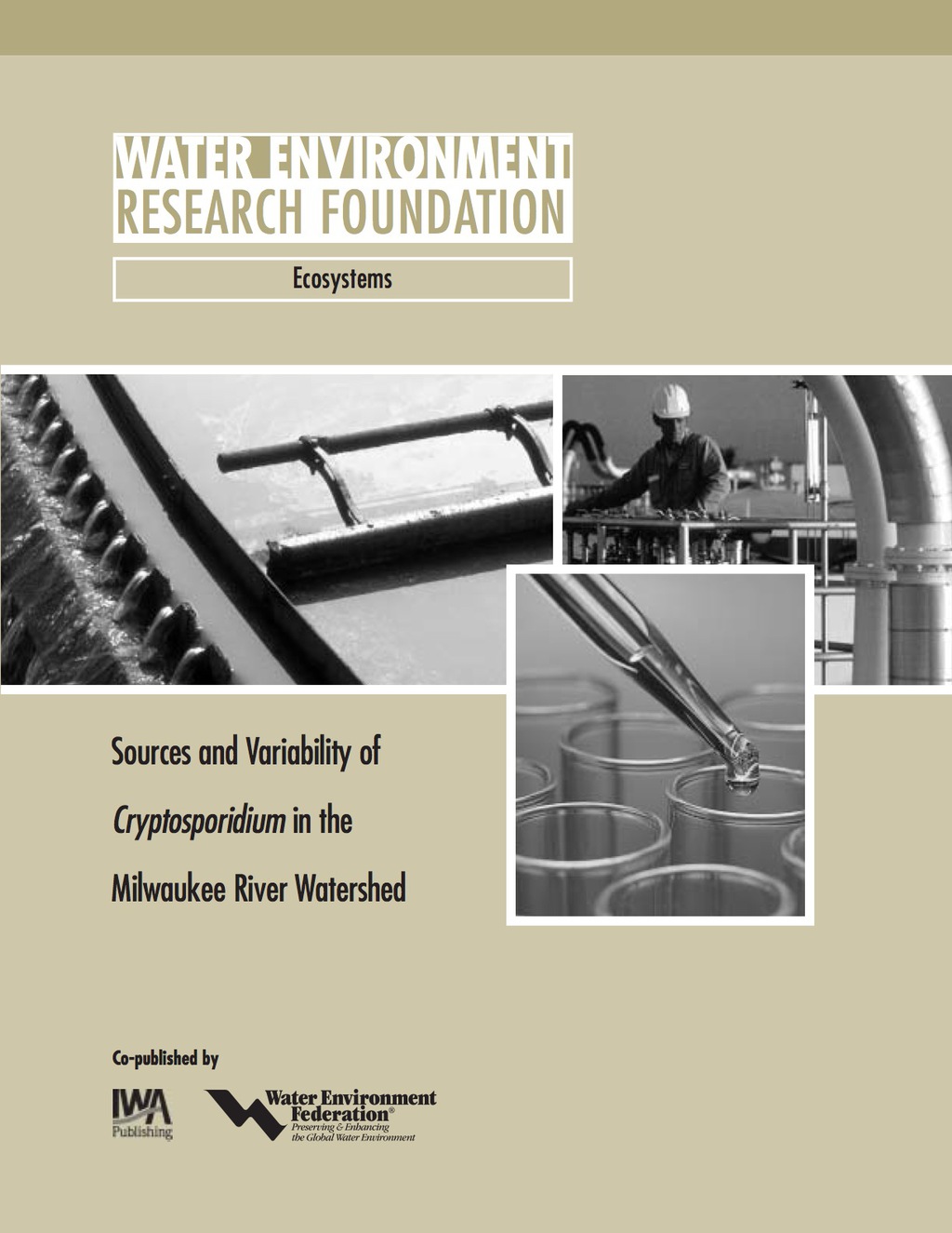 Sources and Variability of Cryptosporidium in the Milwaukee River 