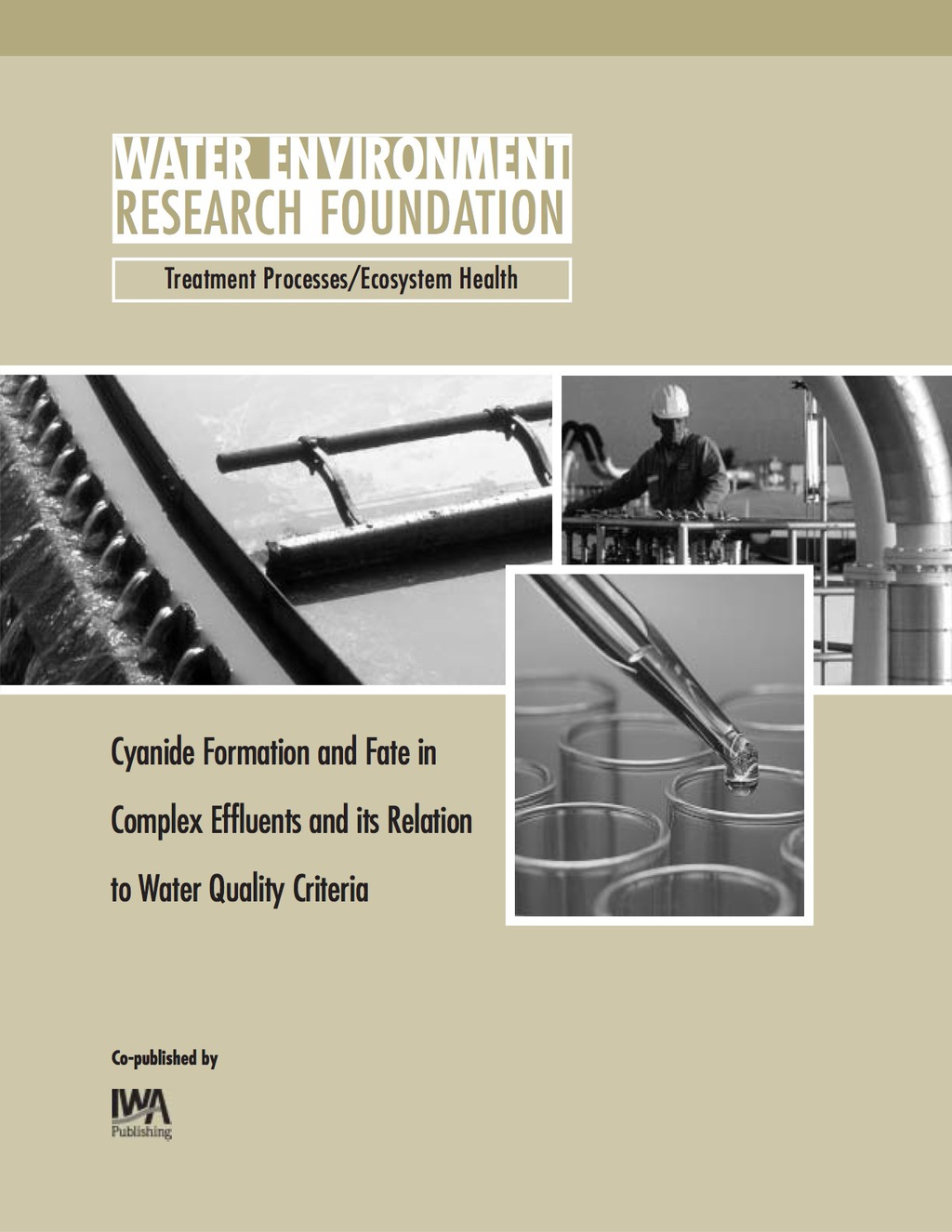 Cyanide Formation and Fate in Complex Effluents and its Relation to Water Quality Criteria 