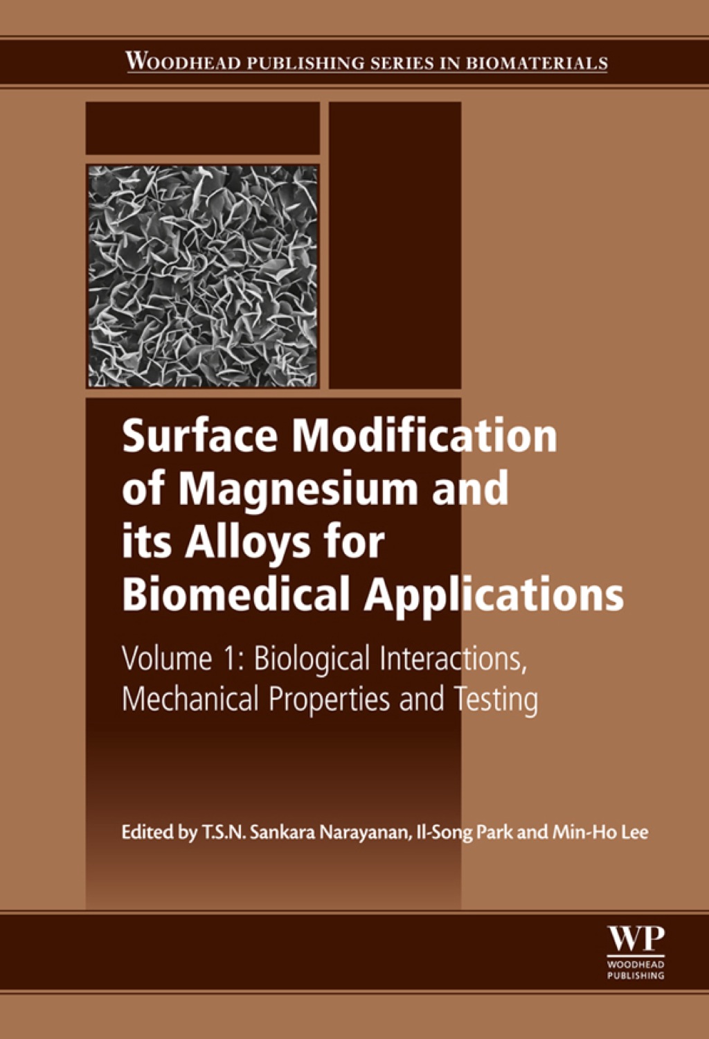 Surface Modification of Magnesium and Its Alloys for Biomedical Applications: Volume 1: Biological Interactions, Mechanical Properties and Testing 