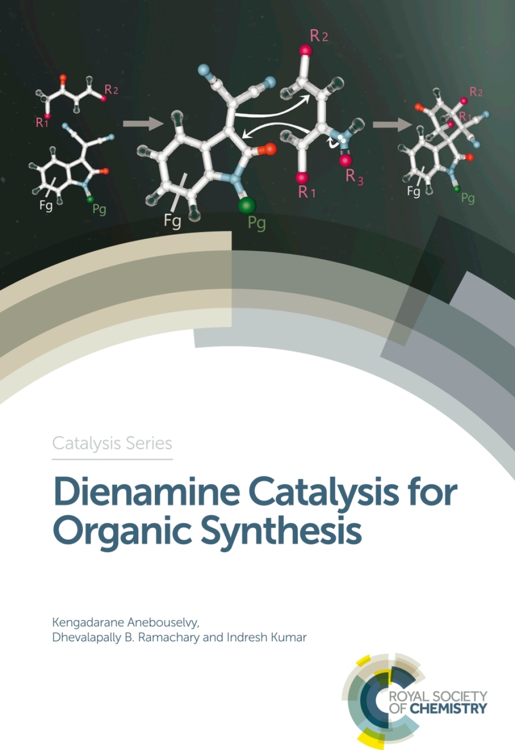 Dienamine Catalysis for Organic Synthesis 1st Edition