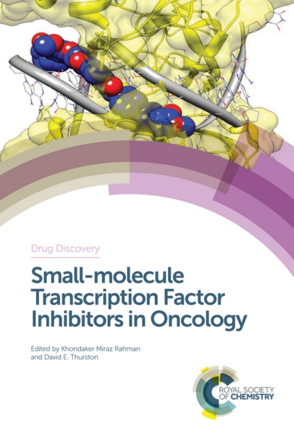 Small-molecule Transcription Factor Inhibitors in Oncology 1st Edition