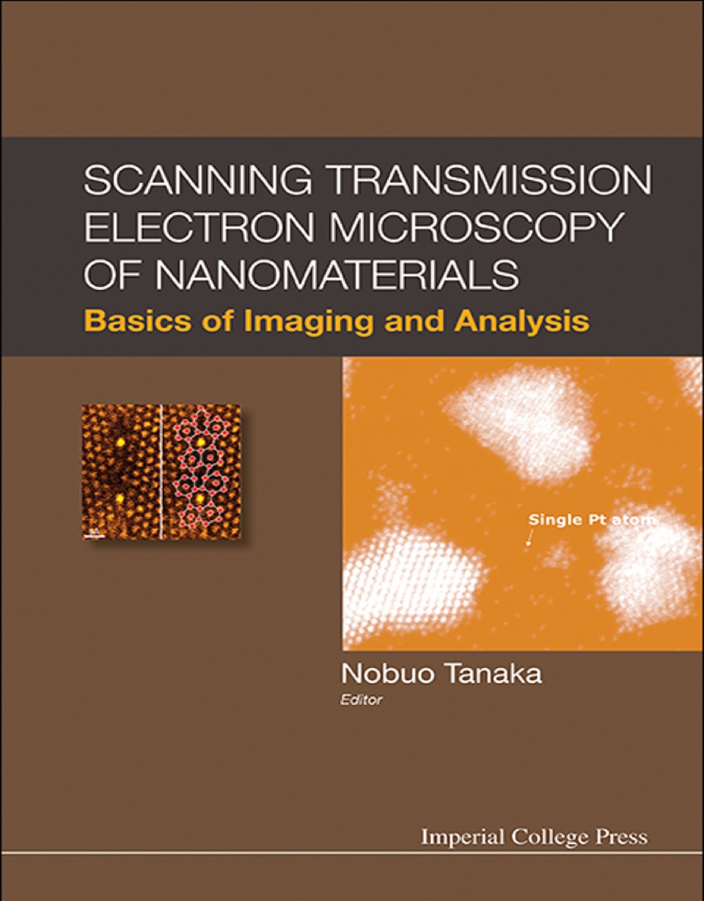 Scanning Transmission Electron Microscopy of Nanomaterials: Basics of Imaging and Analysis 