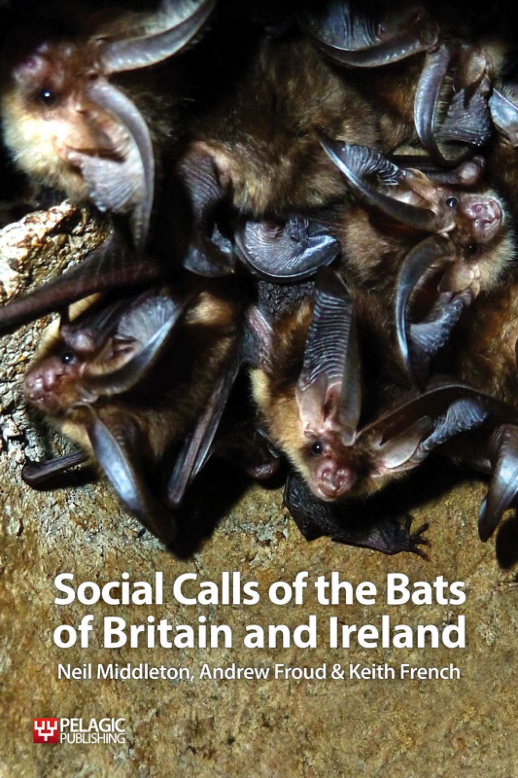 Social Calls of the Bats of Britain and Ireland 1st Edition