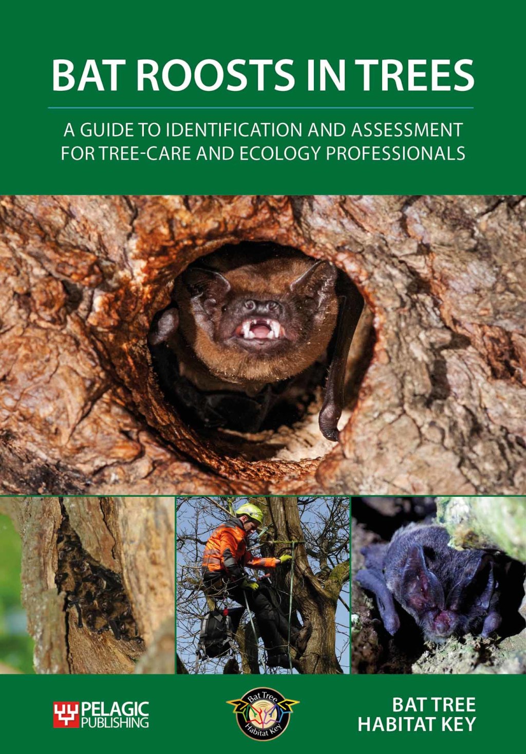 Bat Roosts in Trees A Guide to Identification and Assessment for Tree-Care and Ecology Professionals 1st Edition