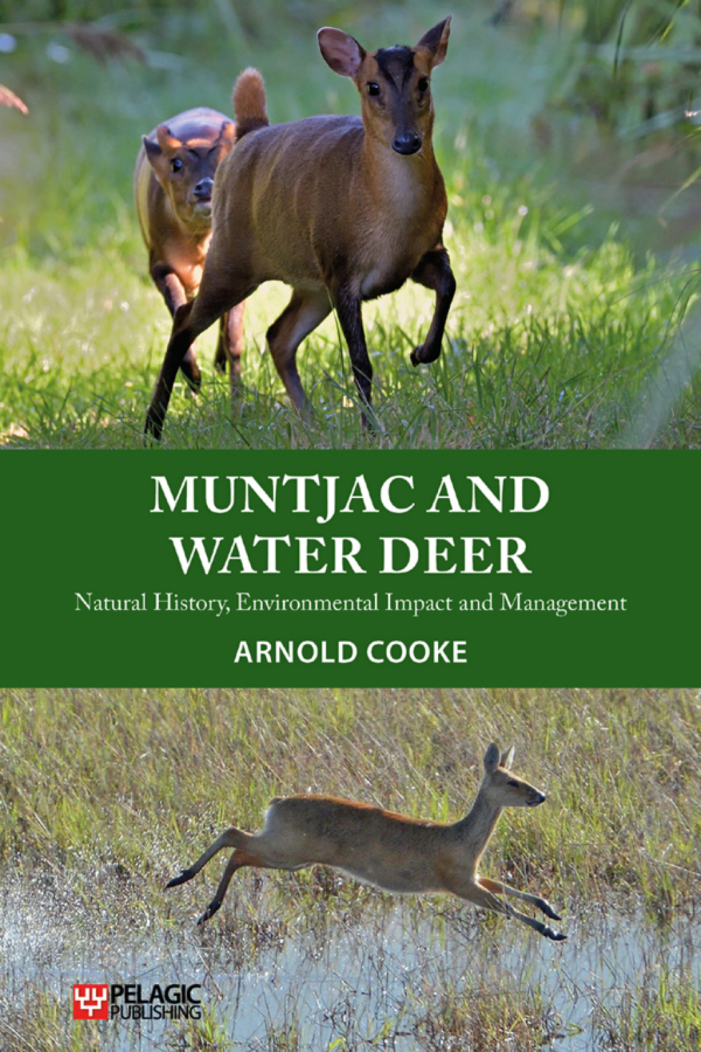 Muntjac and Water Deer Natural History, Environmental Impact and Management 1st Edition