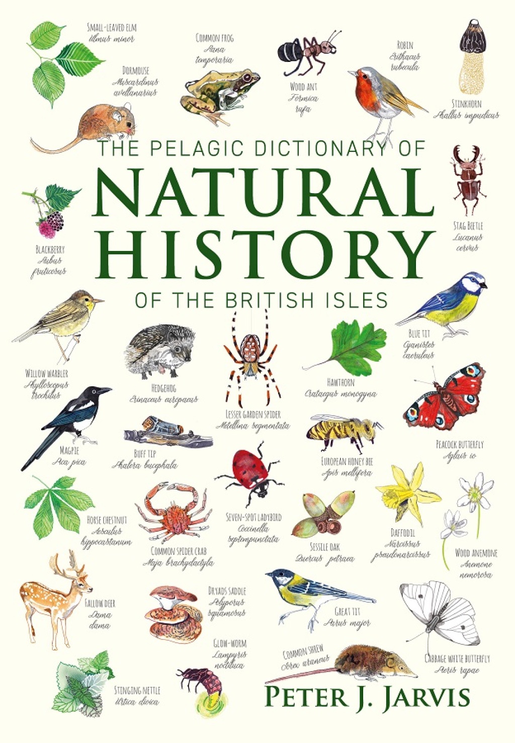 The Pelagic Dictionary of Natural History of the British Isles Descriptions of all Species with a Common Name 1st Edition