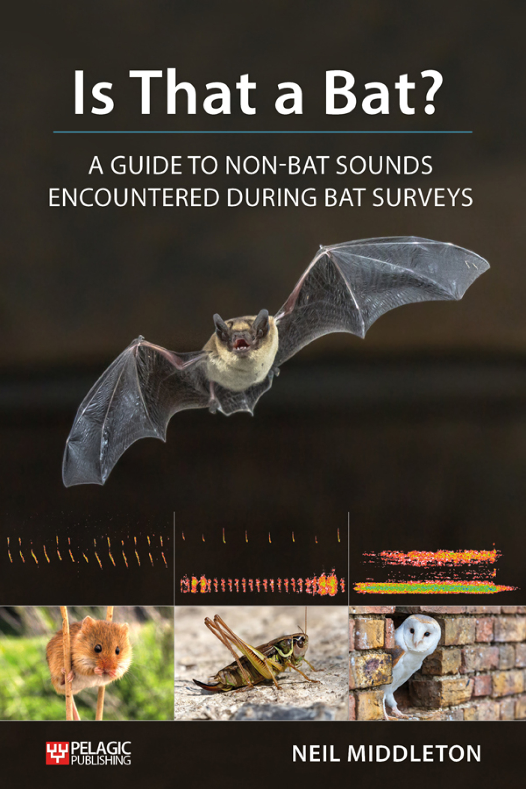 Is That a Bat? A Guide to Non-Bat Sounds Encountered During Bat Surveys 1st Edition