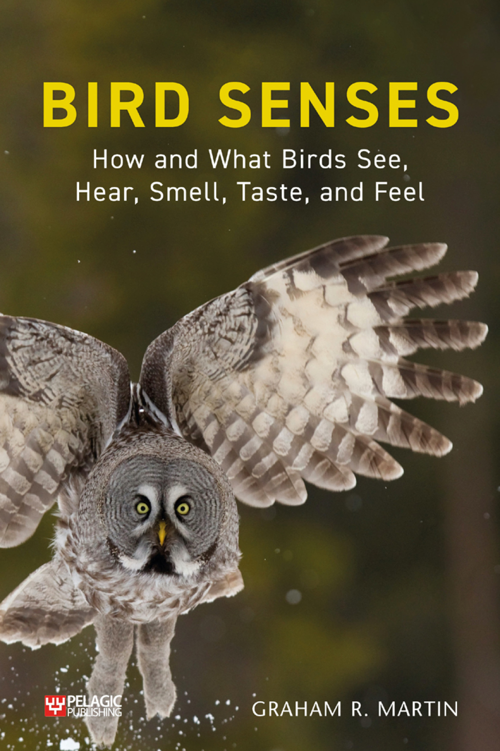 Bird Senses How and What Birds See, Hear, Smell, Taste and Feel 1st Edition