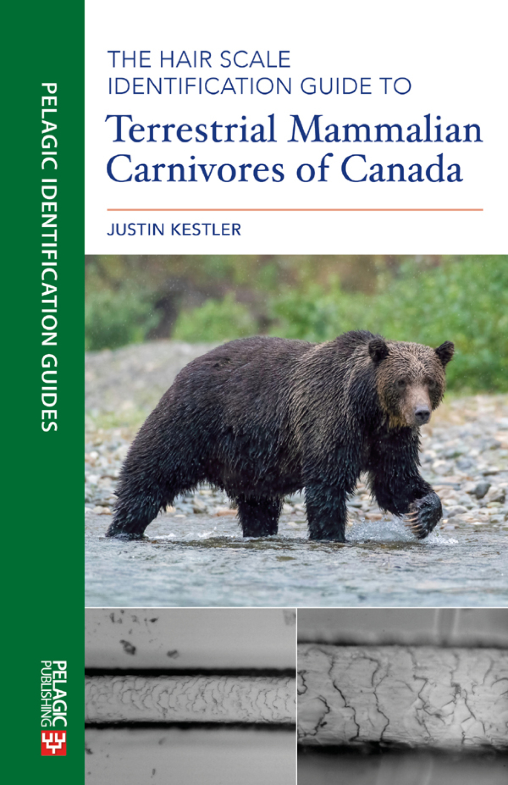 The Hair Scale Identification Guide to Terrestrial Mammalian Carnivores of Canada 1st Edition