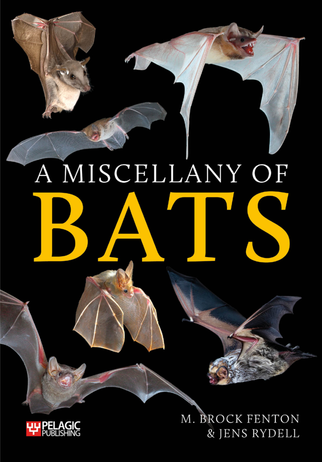 A Miscellany of Bats 1st Edition