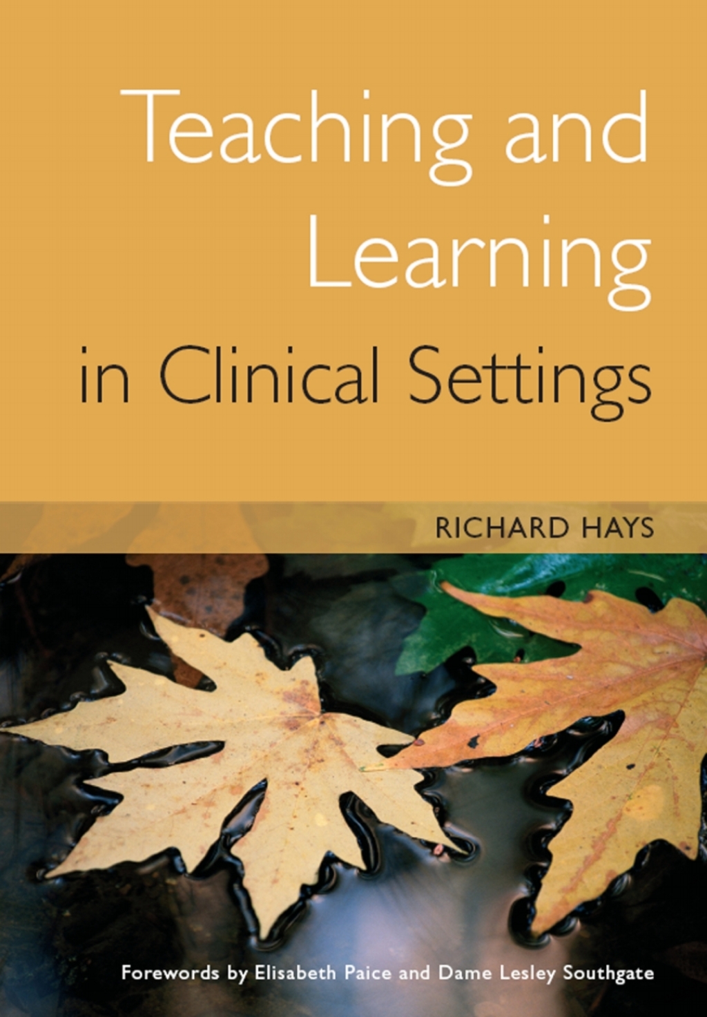 Teaching and Learning in Clinical Settings 1st Edition