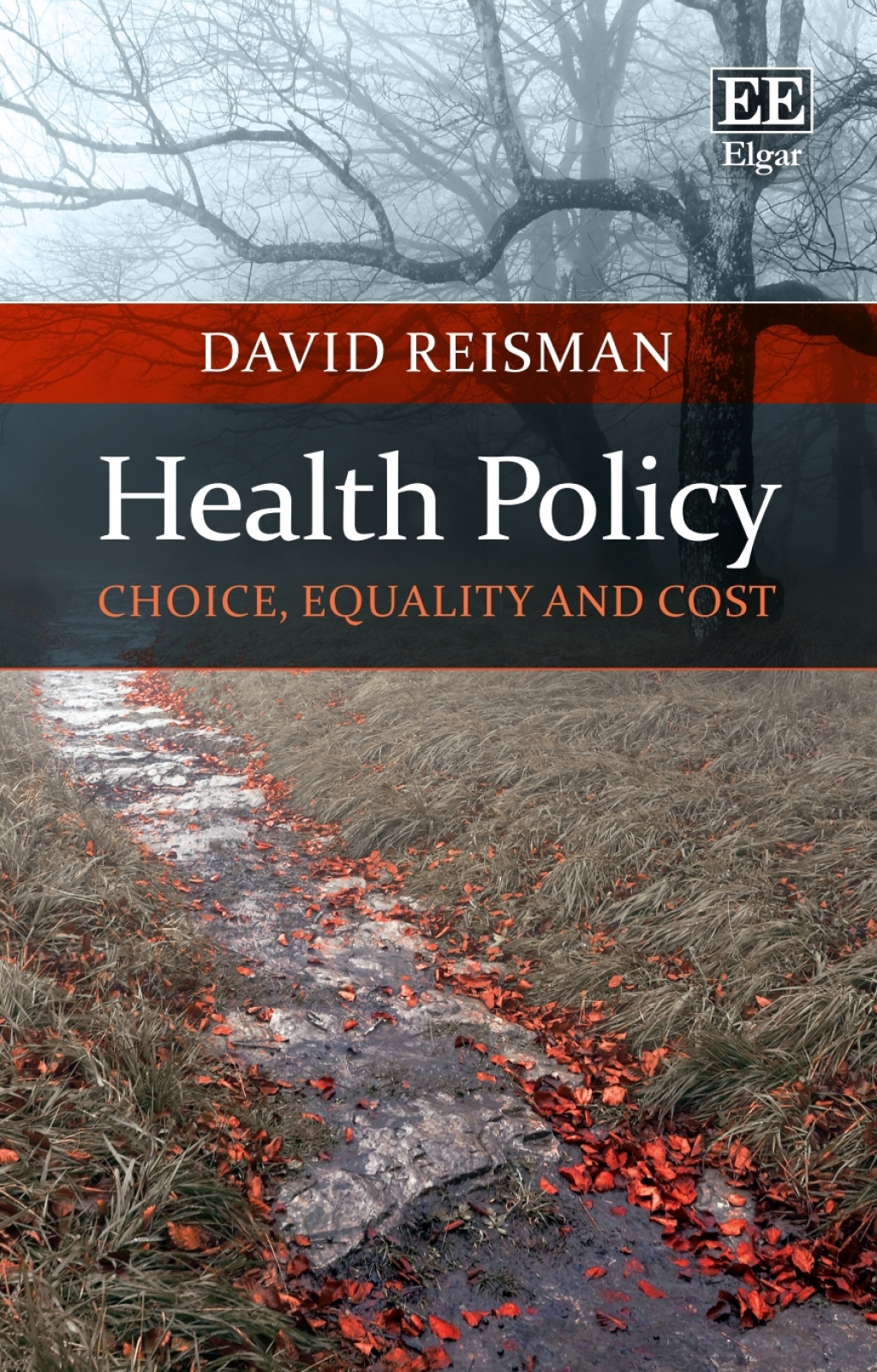 Health Policy: Choice, Equality and Cost 1st Edition