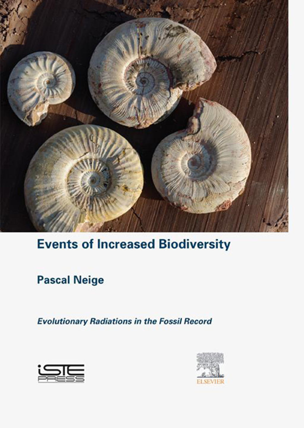 Events of Increased Biodiversity: Evolutionary Radiations in the Fossil Record 
