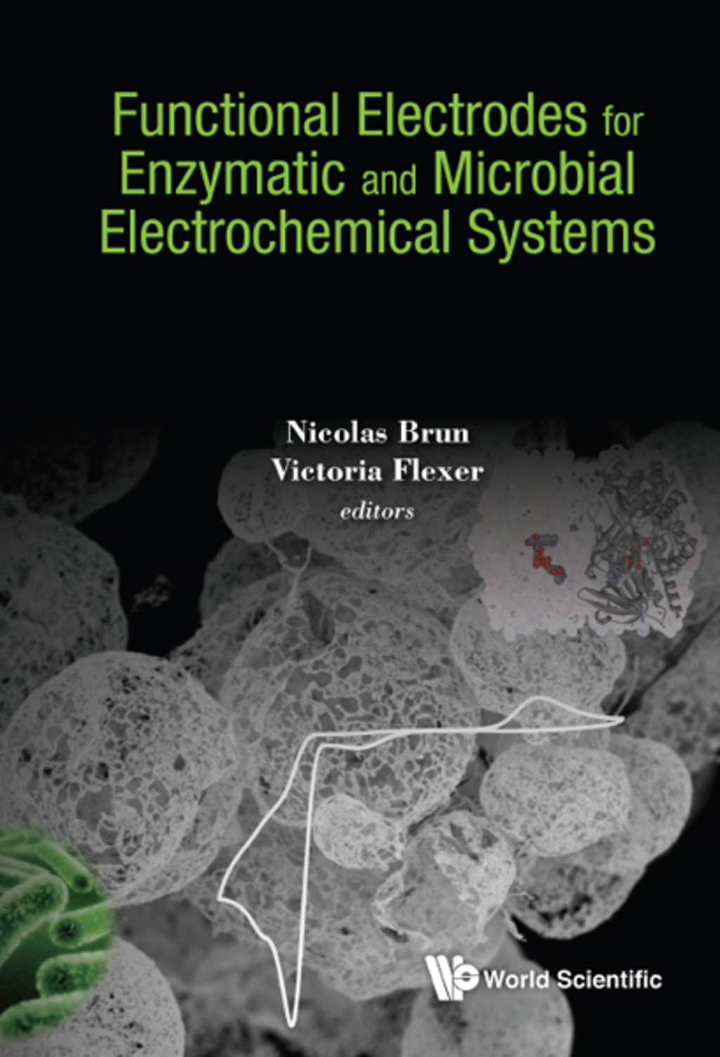 Functional Electrodes for Enzymatic and Microbial Electrochemical Systems 