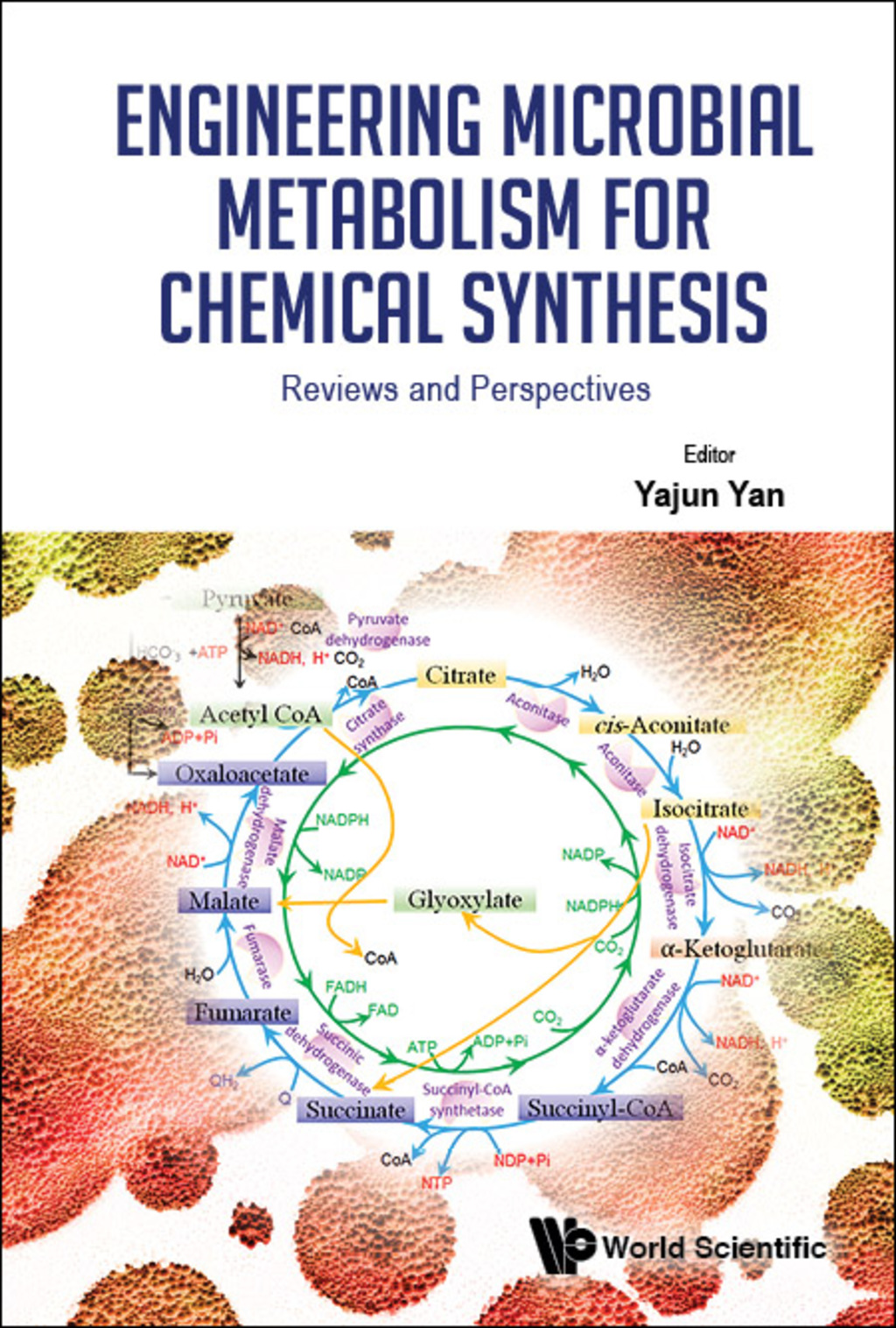 Engineering Microbial Metabolism for Chemical Synthesis: Reviews and Perspectives 