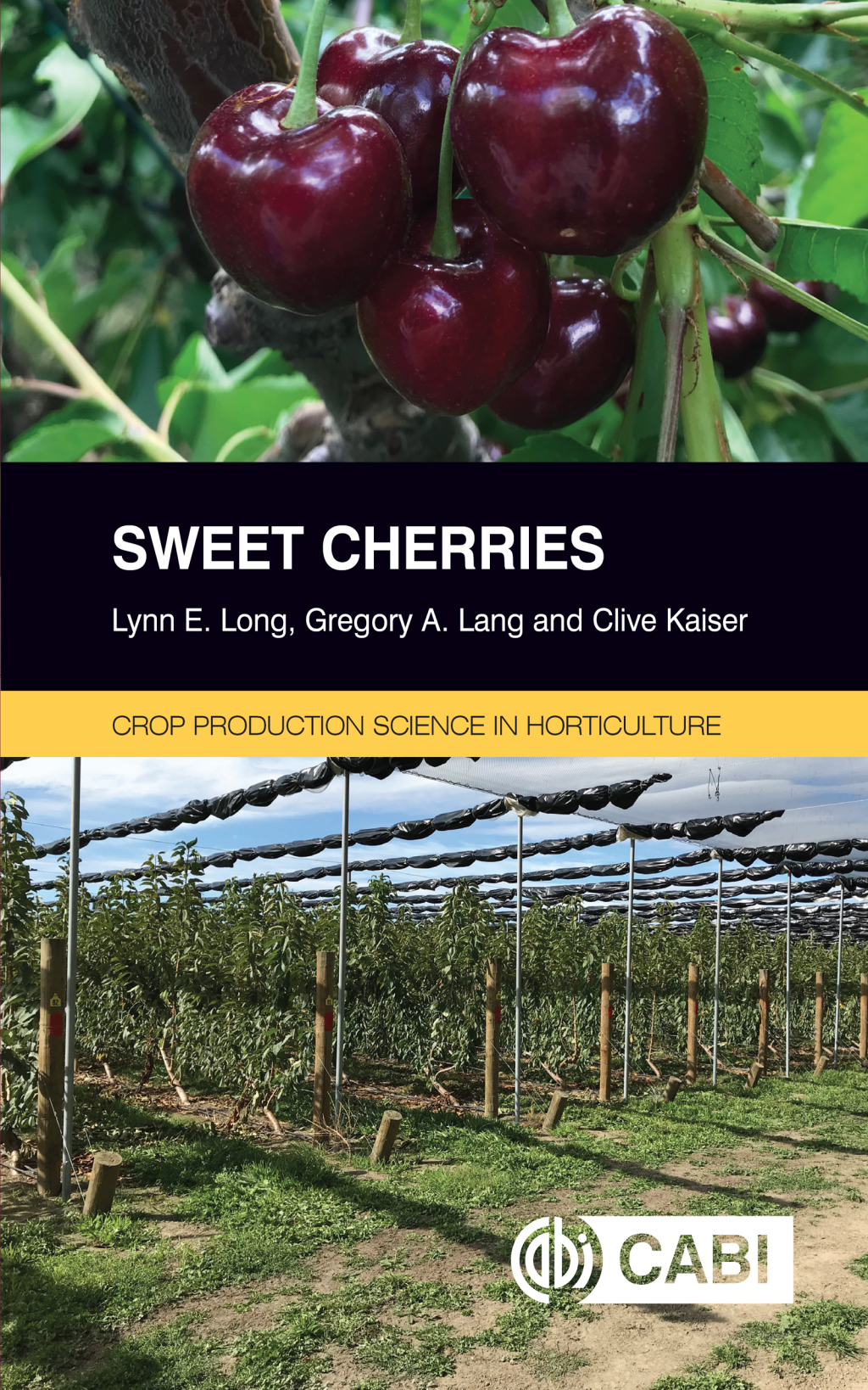 Sweet Cherries 
