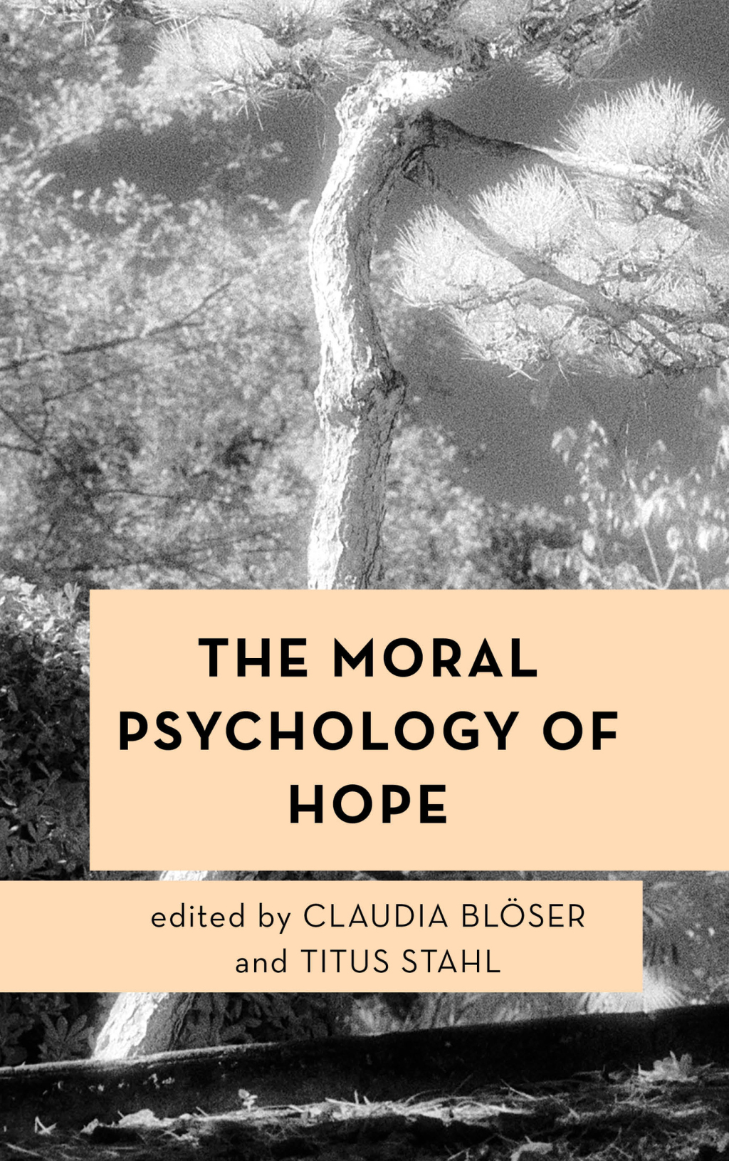 The Moral Psychology of Hope 1st Edition