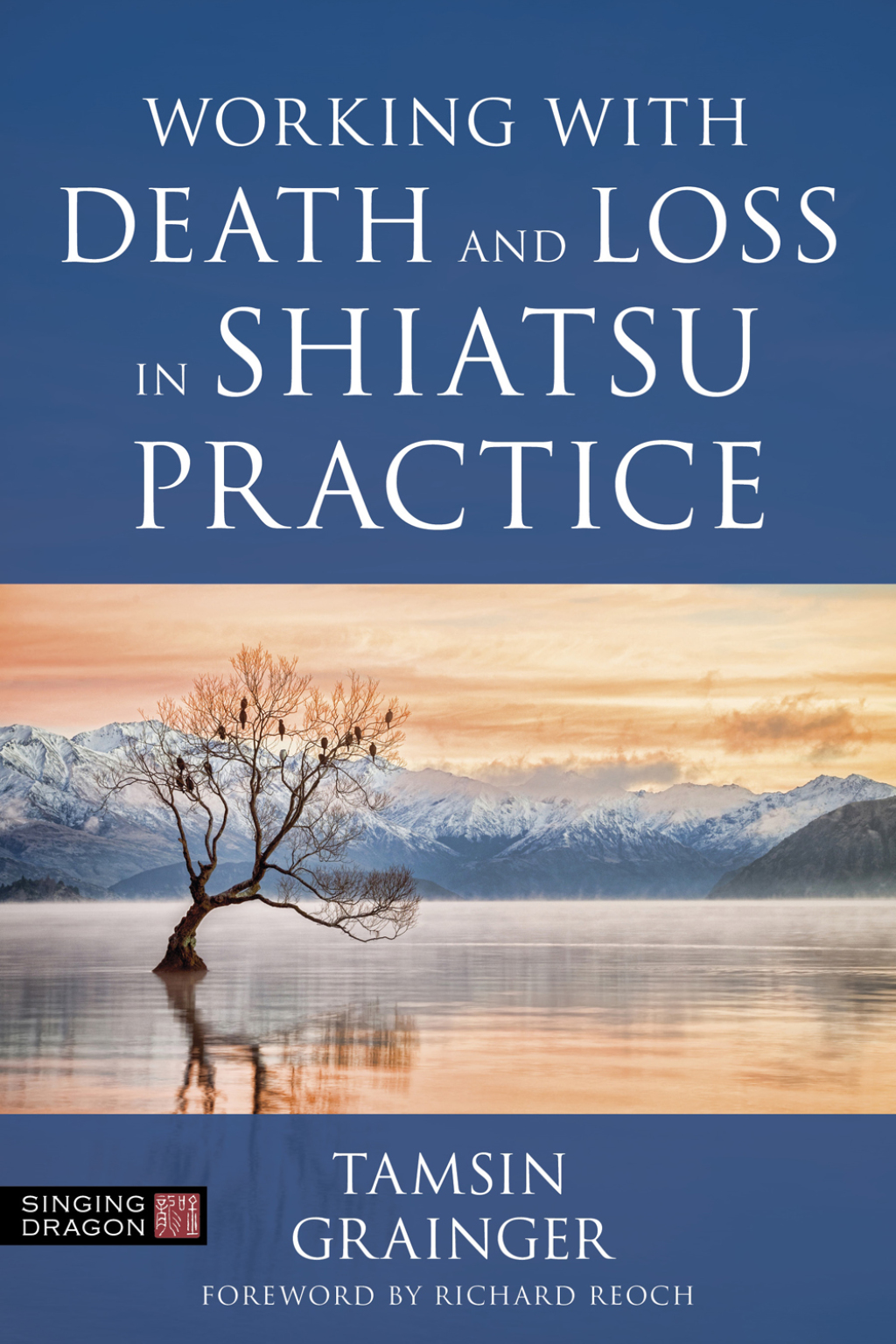 Working with Death and Loss in Shiatsu Practice A Guide to Holistic Bodywork in Palliative Care 