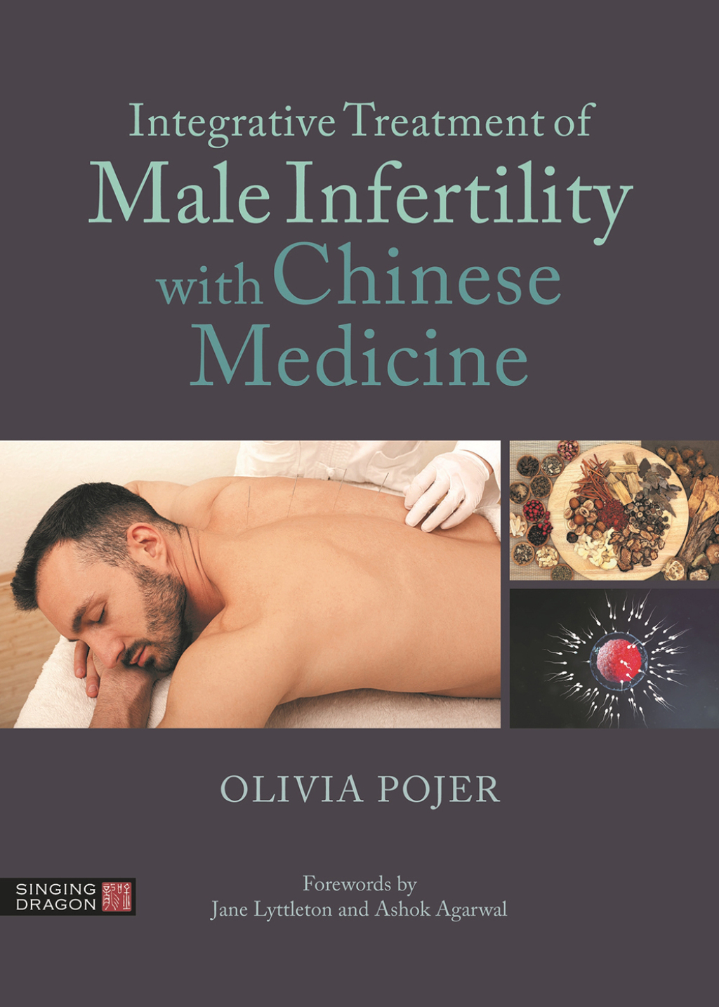 Integrative Treatment of Male Infertility with Chinese Medicine 