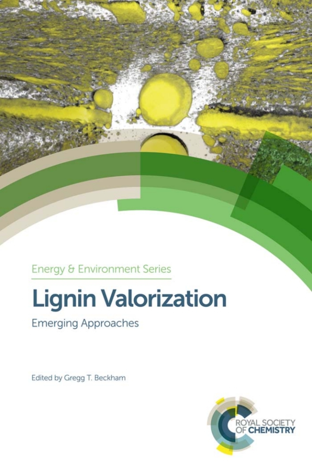 Lignin Valorization Emerging Approaches 1st Edition