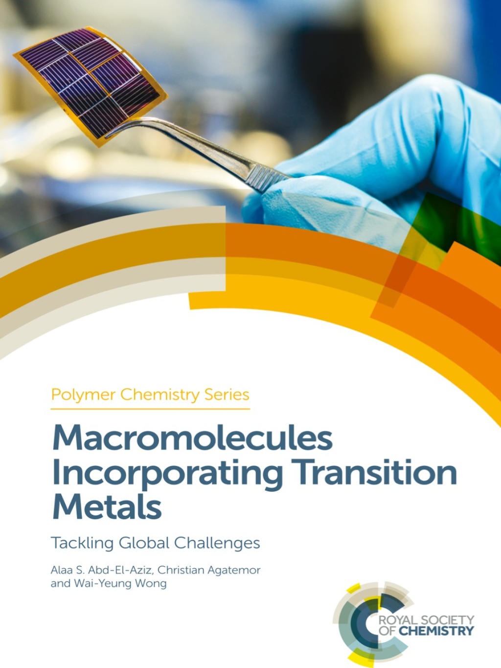 Macromolecules Incorporating Transition Metals Tackling Global Challenges 1st Edition