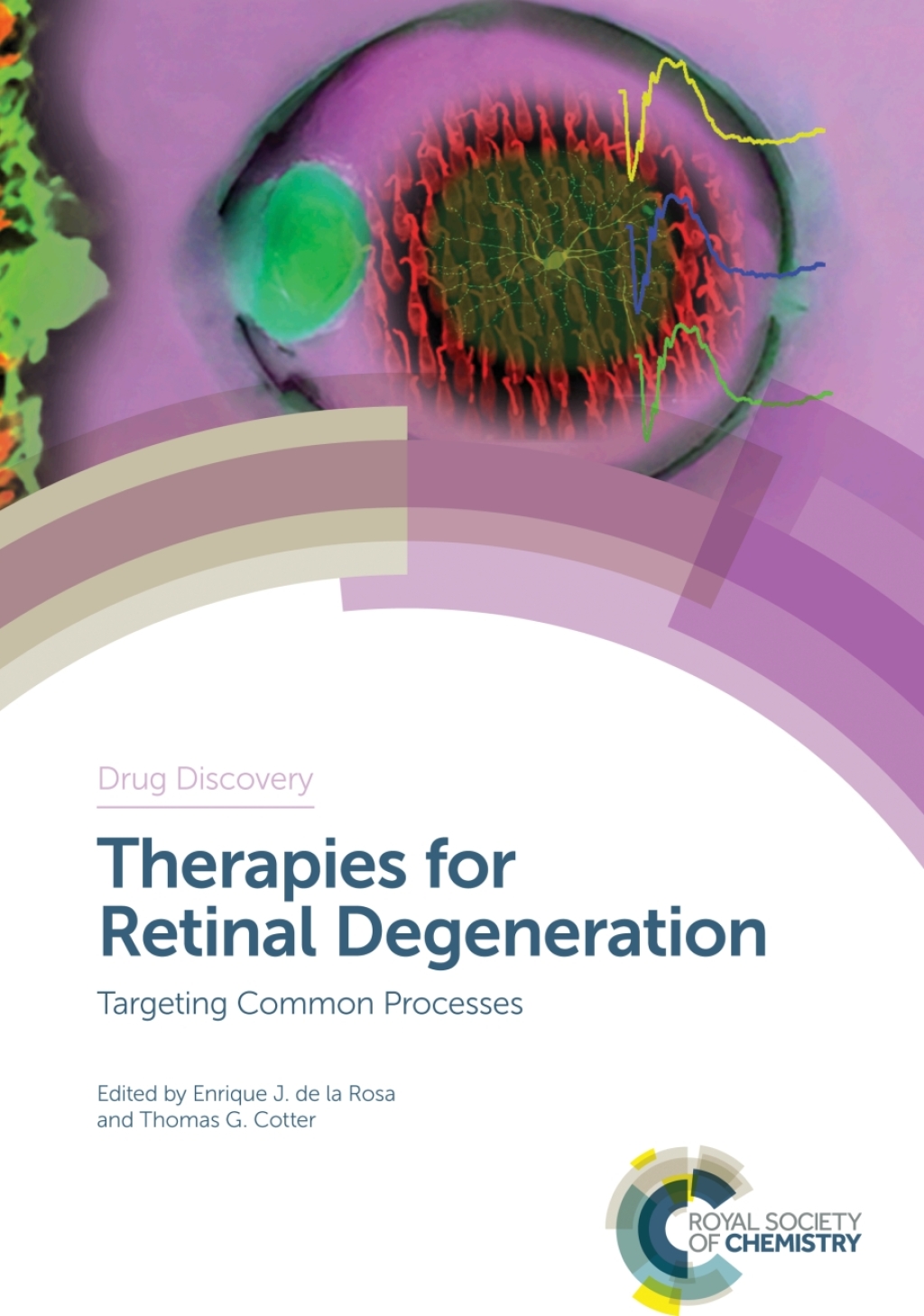 Therapies for Retinal Degeneration Targeting Common Processes 1st Edition