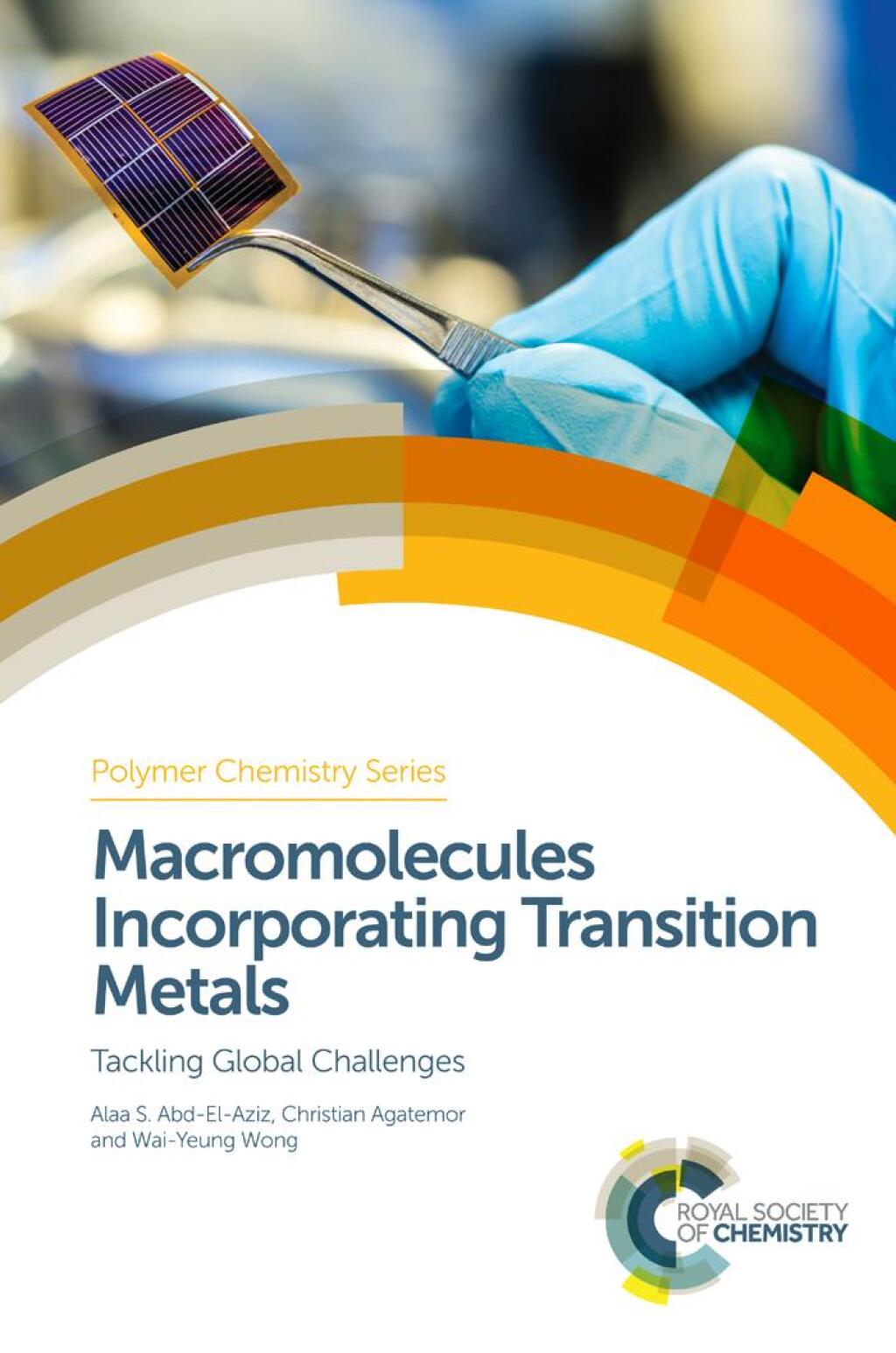 Macromolecules Incorporating Transition Metals Tackling Global Challenges 1st Edition