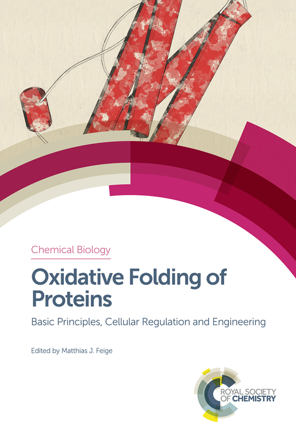 Oxidative Folding of Proteins Basic Principles, Cellular Regulation and Engineering 1st Edition