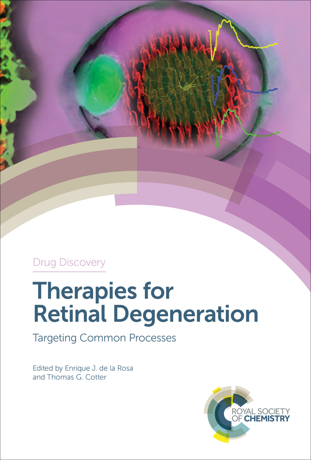 Therapies for Retinal Degeneration Targeting Common Processes 1st Edition