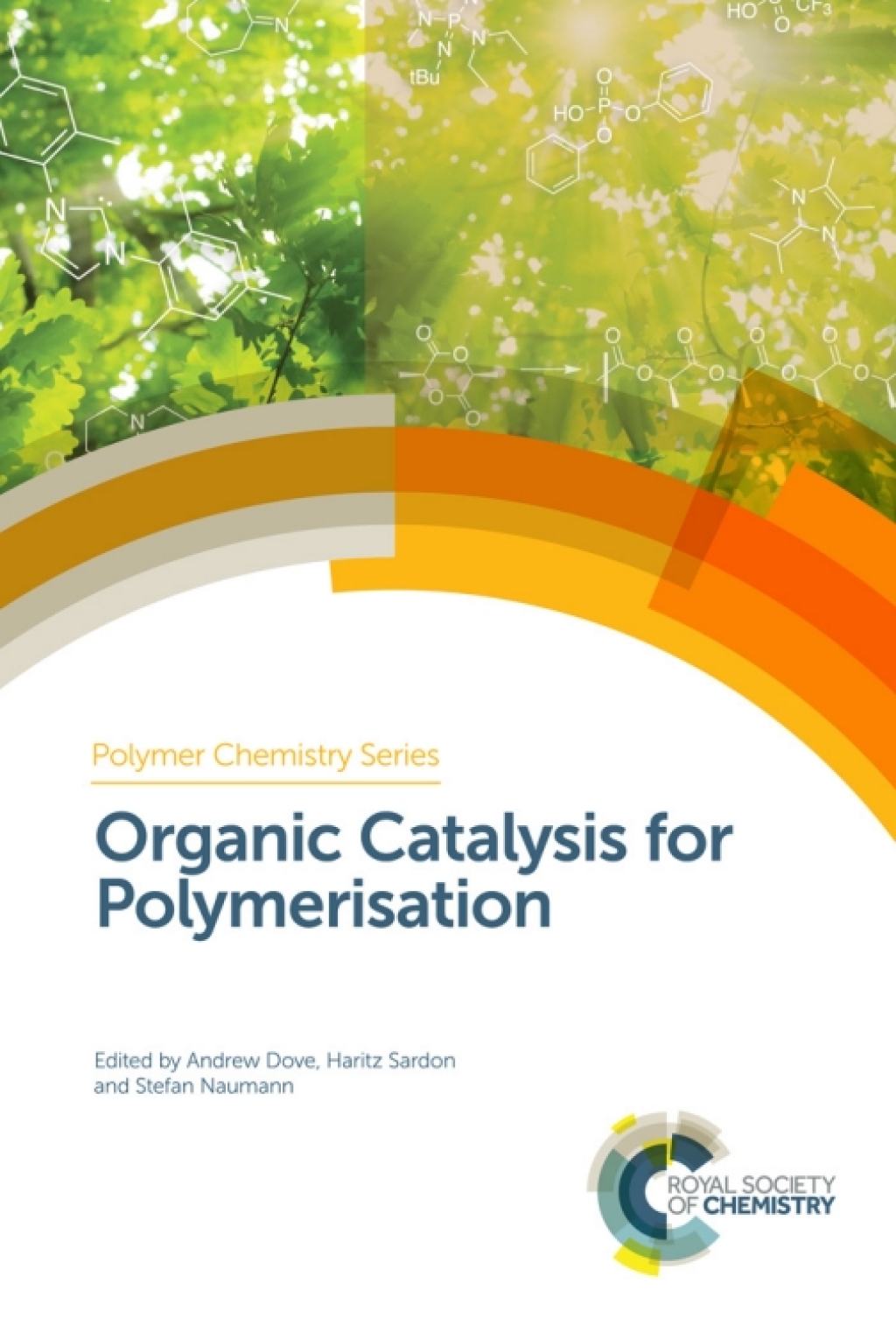 Organic Catalysis for Polymerisation 1st Edition