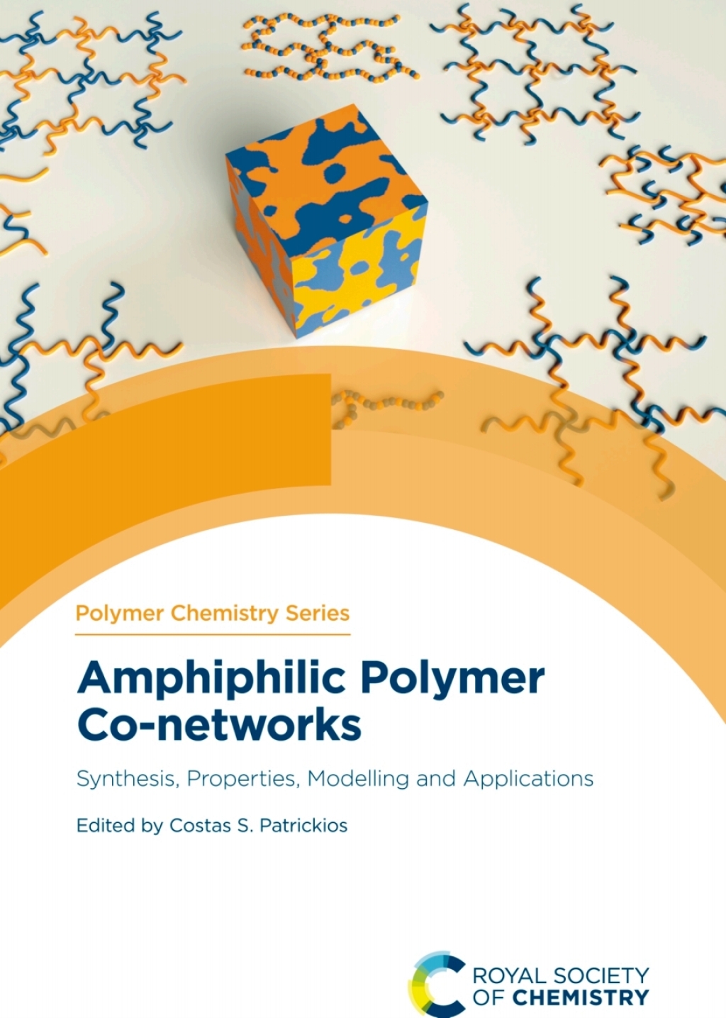 Amphiphilic Polymer Co-networks Synthesis, Properties, Modelling and Applications 1st Edition