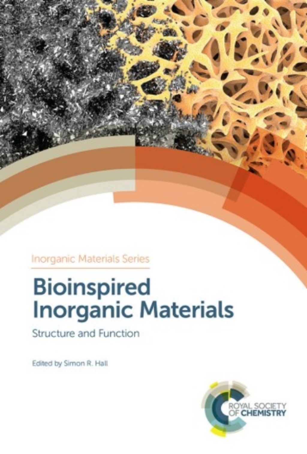Bioinspired Inorganic Materials Structure and Function 1st Edition