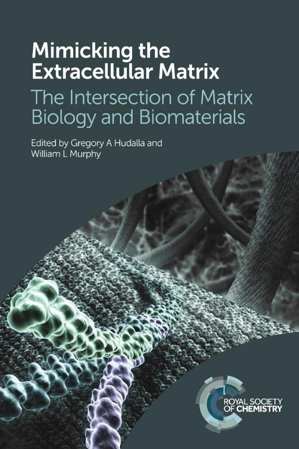 Mimicking the Extracellular Matrix The Intersection of Matrix Biology and Biomaterials 1st Edition