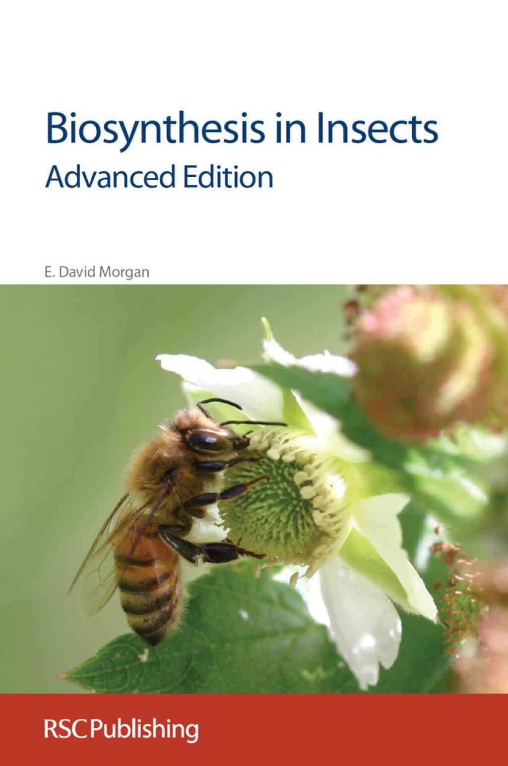 Biosynthesis in Insects Advanced Edition 2nd Edition