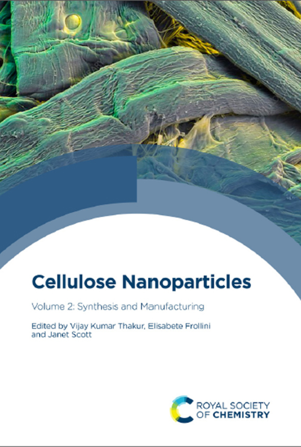 Cellulose Nanoparticles Volume 2: Synthesis and Manufacturing 1st Edition