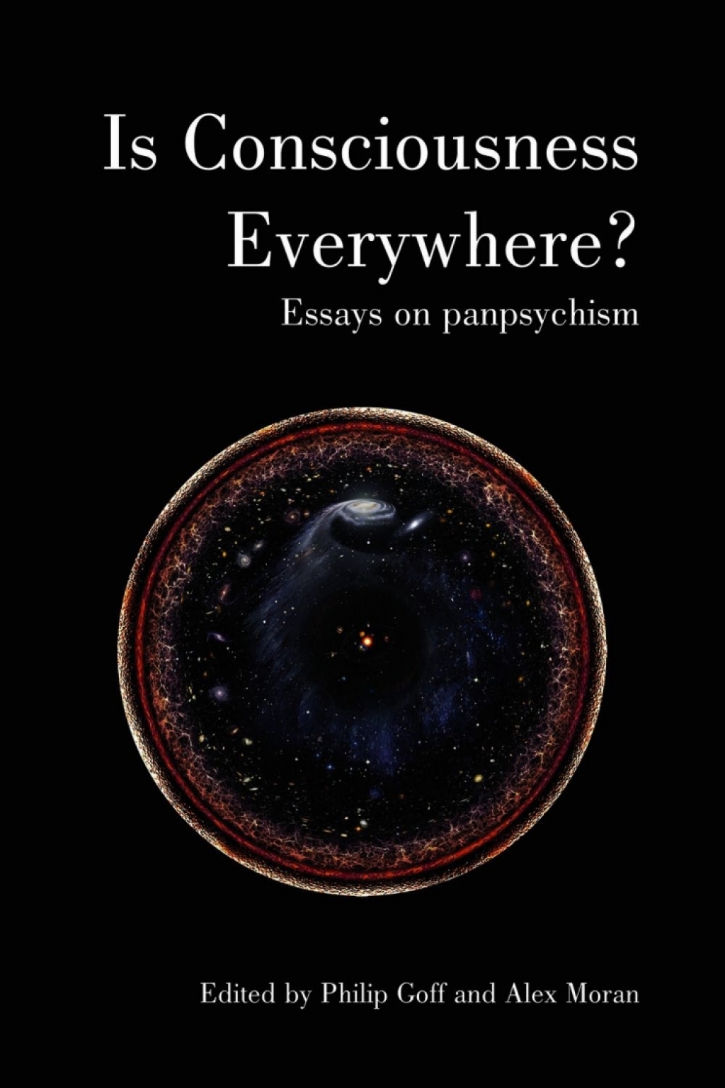Is Consciousness Everywhere? 1st Edition