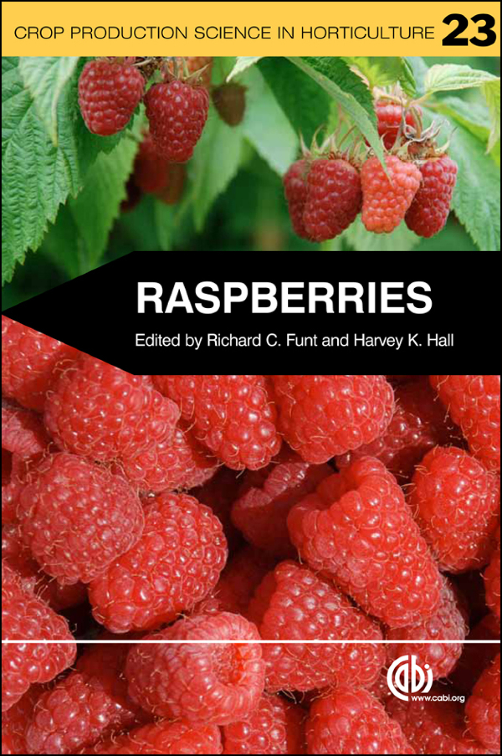 Raspberries 1st Edition