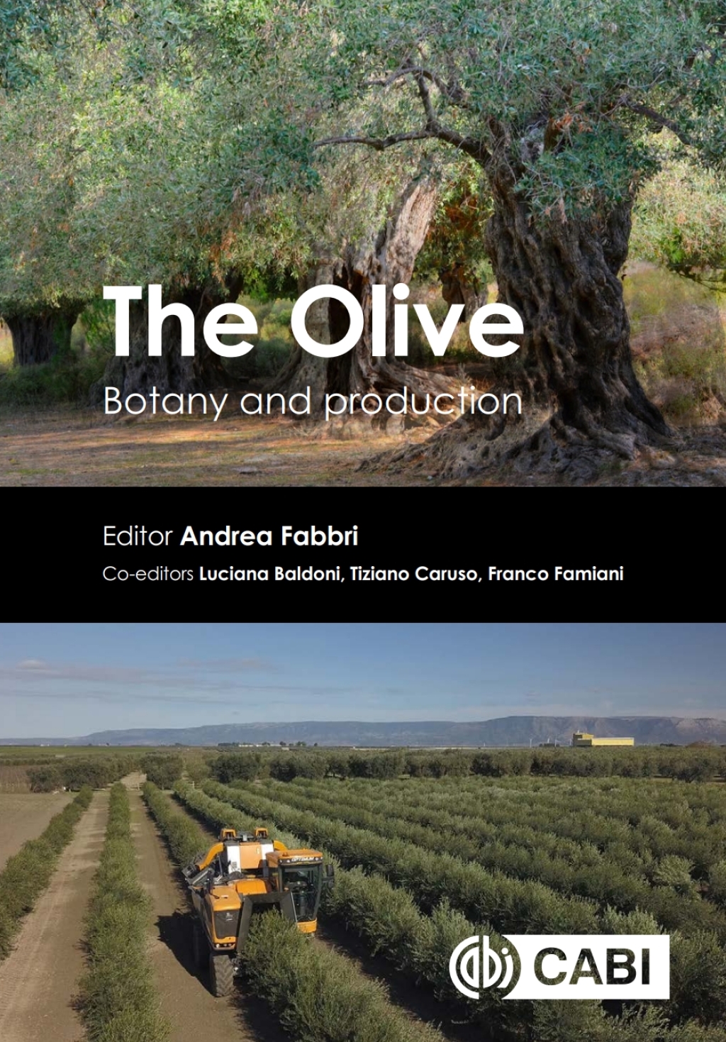 The Olive Botany and Production 
