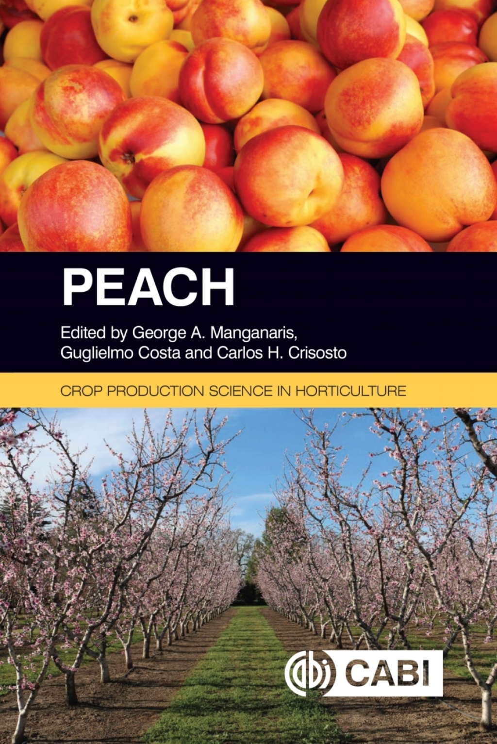 Peach 