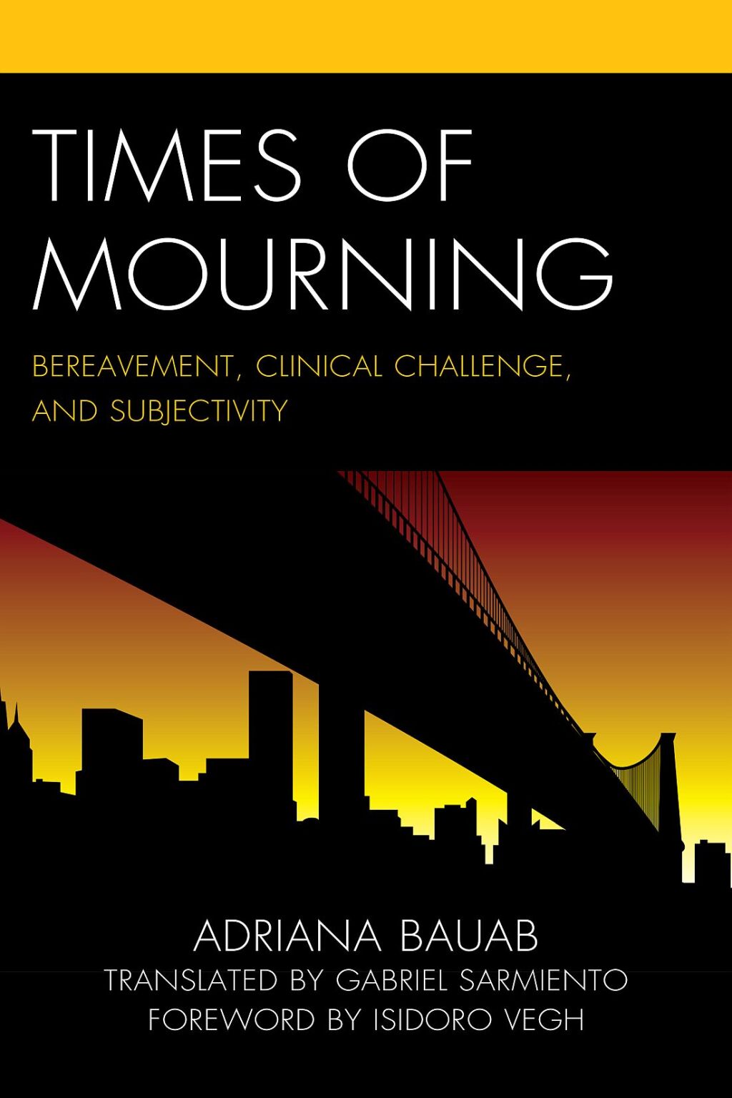 Times of Mourning Bereavement, Clinical Challenge, and Subjectivity 