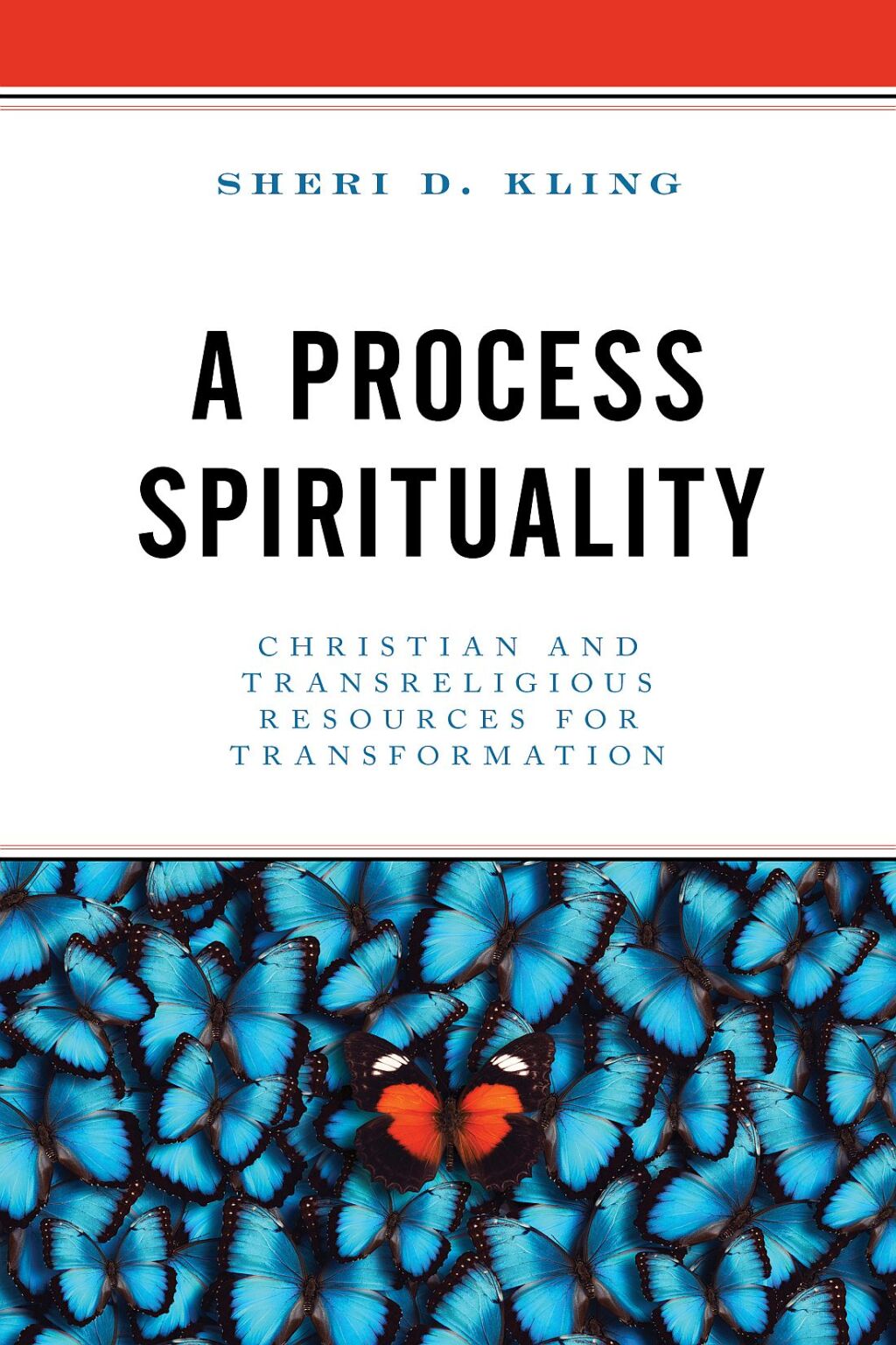 A Process Spirituality Christian and Transreligious Resources for Transformation 