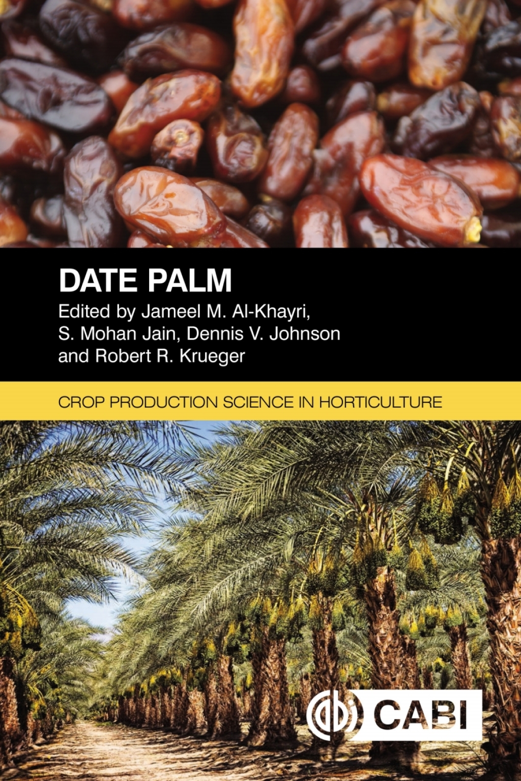 Date Palm 