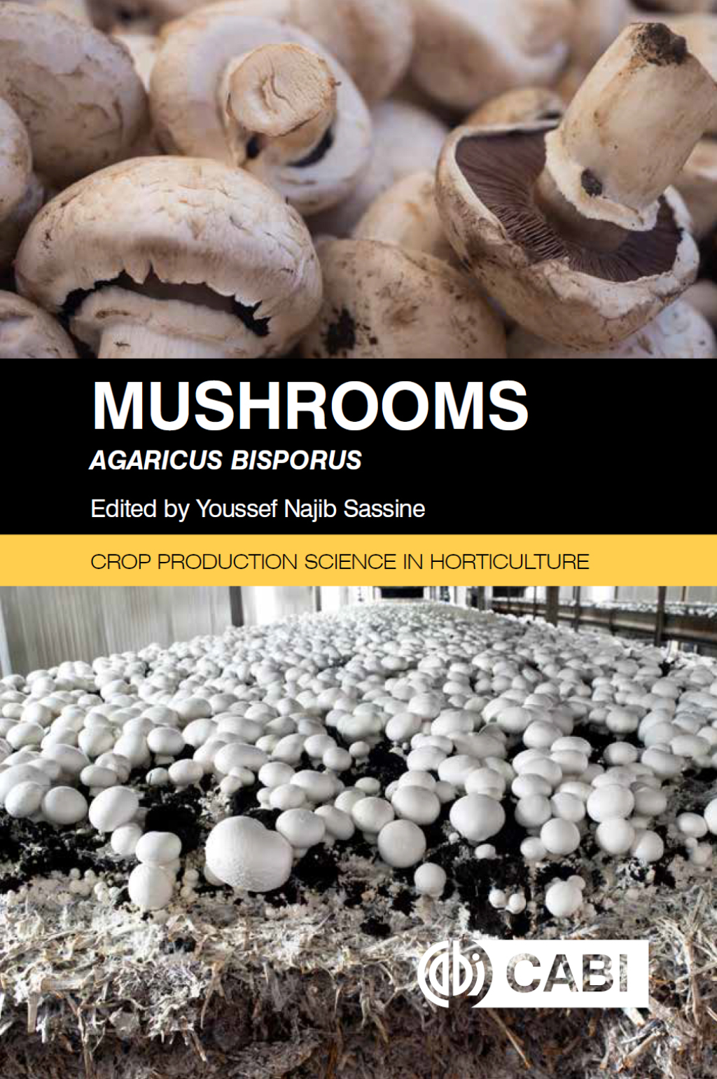 Mushrooms Agaricus bisporus 